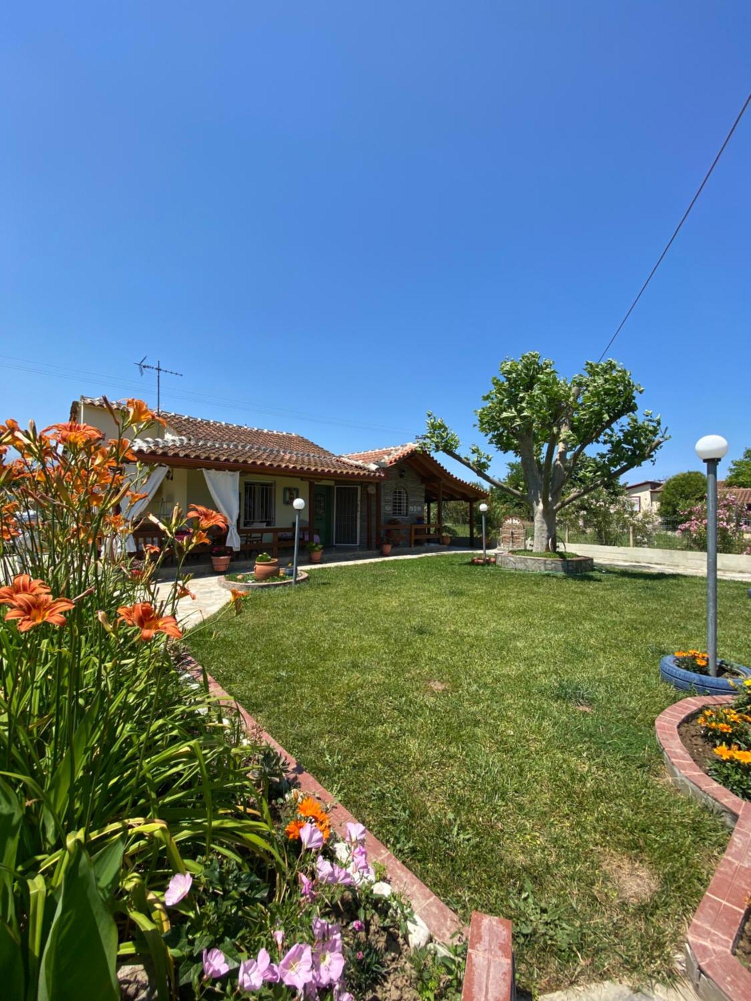 Platanos House Villa Nea Mesagkala Exterior photo