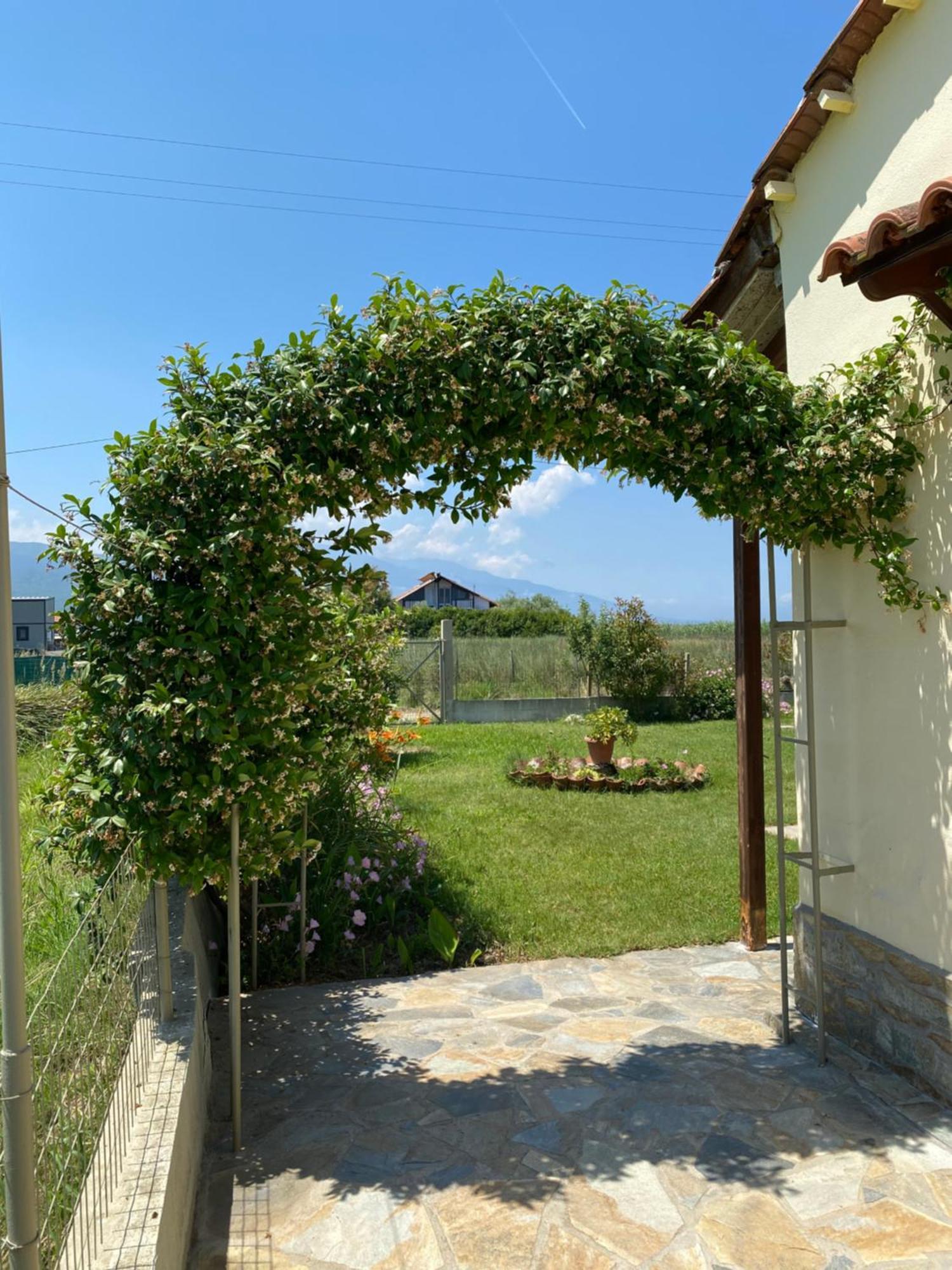 Platanos House Villa Nea Mesagkala Exterior photo