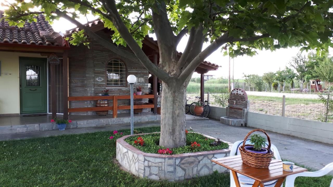 Platanos House Villa Nea Mesagkala Exterior photo